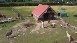 Het erf van boer Charel wordt een kinderboerderij