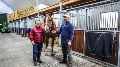 Koetsiers openen eerste paardenasiel