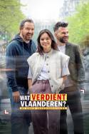 boxcover van Wat verdient Vlaanderen