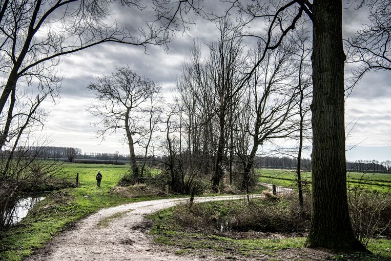 Het eeuwenoude water in het bronbos van Middachten is terug, maar waar? - Trouw
