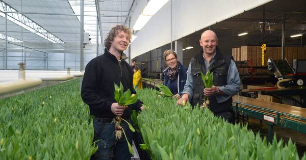 Protest tegen uitbreiding van kassencomplex bij Noordgouwe