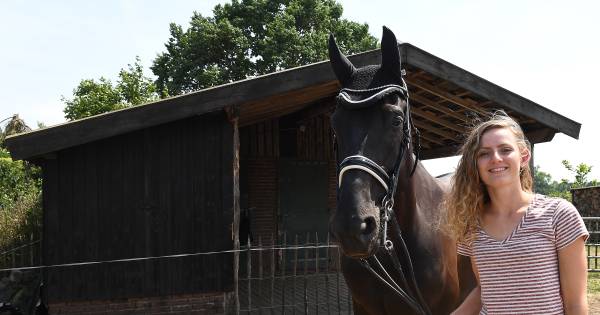 Boer Zoekt Vrouw-ster Fleur middelpunt bij Hippisch Festijn - De Gelderlander