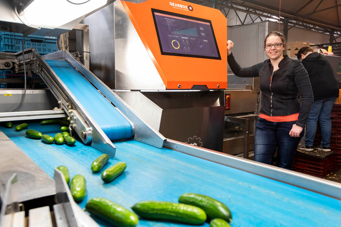 Simone Keijzer heeft met het bedrijf Gearbox Innovations een machine gemaakt die zelf groente en fruit keurt en sorteert.