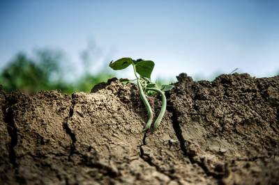 Boeren en waterschappen bezorgd: het is nu alweer veel te droog
