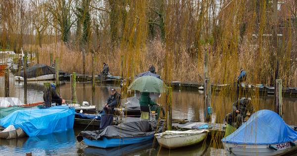 Opknapbeurt Terheijdense haven begonnen | Breda - BN DeStem