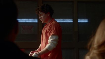 17. Remèdes de cheval