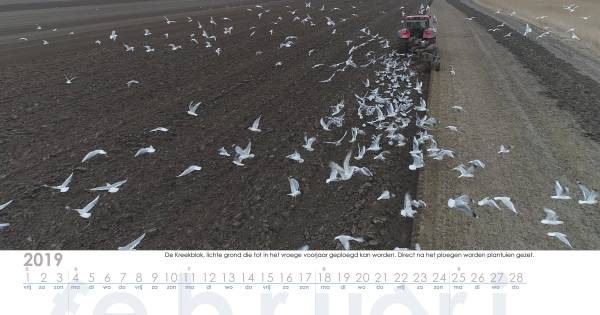 Kalender kijkt boven de rand van Schouwen-Duiveland