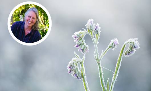 Groenliefhebber Marieke vertelt: déze tuinklusjes liggen er nog op je te wachten in november