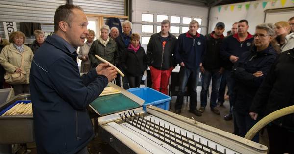 Salland oogst landelijke lof voor smaakvolle asperges | Raalte - De Stentor