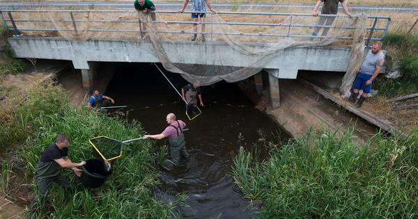 Karpers uit Harreveld gered, visactie geslaagd