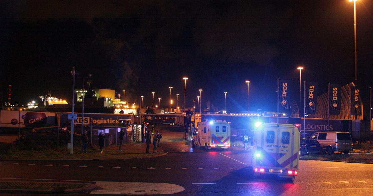 Nederlandse hulpdiensten massaal uitgerukt naar haven: 25 verstekelingen aangetroffen in koelcontainer .