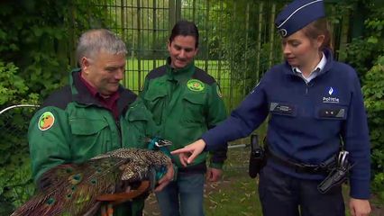 Aflevering 13