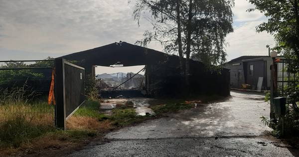 Grote loods uitgebrand in Wouwse Plantage, politie onderzoekt oorzaak - BN DeStem