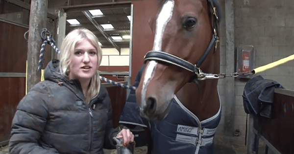 Britt Dekker betrapt 'enge ponyverkrachter' bij weiland ...