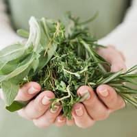 Vitamineboost nodig? Deze groene blaadjes zitten bomvol voedingsstoffen