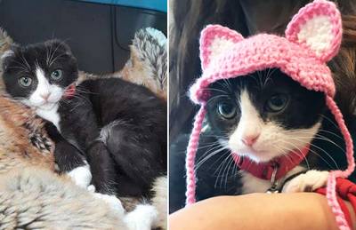 Katje Karma zwaar toegetakeld, maar asiel laat haar op creatieve wijze weer stralen