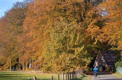 Genieten van de herfst in lenteachtig weer