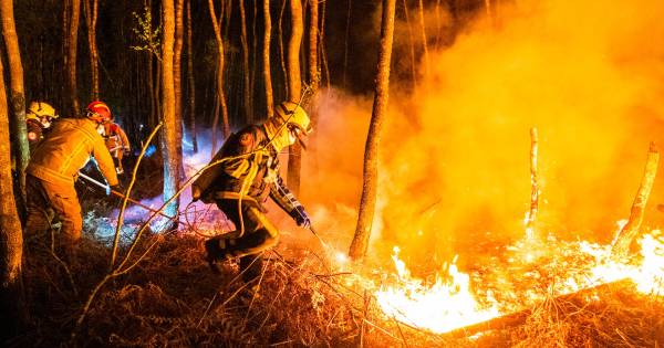 Dag en nacht strijden tegen de vlammen in verraderlijke Peel: 'De vraag is hoe lang je dit kan blijv