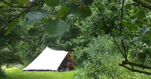 Wildhoeve kapt bomen voor onderhoud