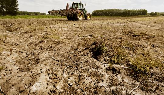 Als je naar inkomen kijkt, lopen zelfstandigen een veel groter risico op armoede. Maar dat is niet het hele verhaal