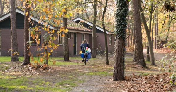Deurne steunt plan De Bikkels: 101 arbeidsmigranten op park - Eindhovens Dagblad