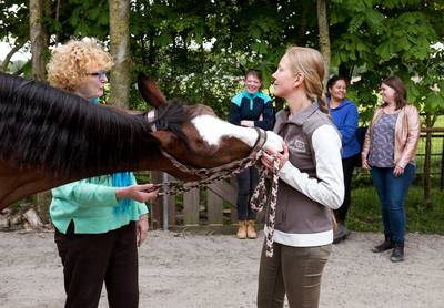 Paardencoach Sandra: ‘Een leuk alternatief voor de sofa van de psycholoog’