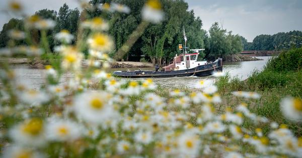 Snuffelen in de Waarden