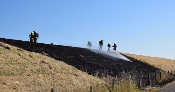 Gemaaid gras zorgt voor bermbrand in Bruinisse