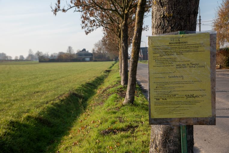 Melle Verleent Zichzelf Kapvergunning Ondanks Massaal Protest
