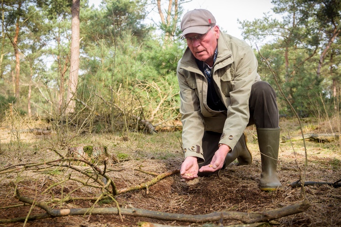 Harry Kuypers bij een van de voederplaatsen die jagers hebben aangelegd in de bossen.