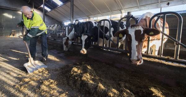 Zorgen voor zorgboerderij in Langeveen door 'verkeerd' vinkje - Tubantia
