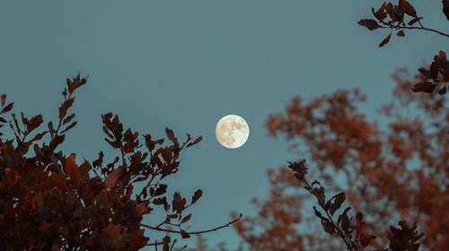 Het is morgen volle maan en die beïnvloedt onze slaap