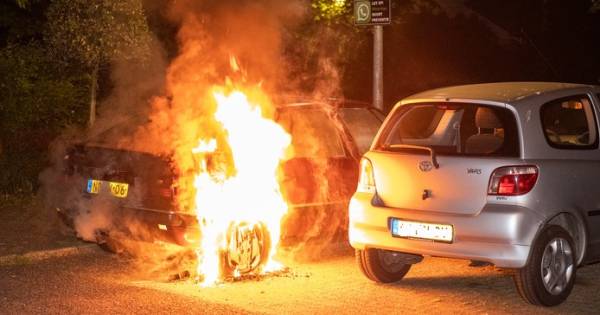 Burgemeester verlengt maatregel preventief fouilleren: 's nachts 'opvallend' veel jongeren op straat