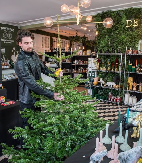 Een kerstboom in plaats van een Oranjeboom 