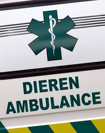 Raadsvragen over problemen bij Dierenambulance Gelderse Vallei