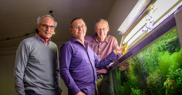 Een aquarium is bij de Kempvis in Dommelen veel meer dan een bak water met vissen en planten - Eindh