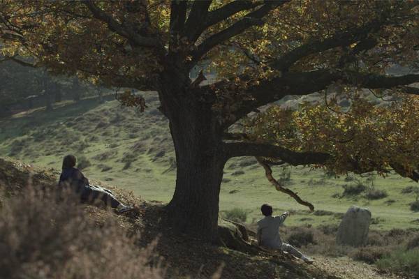 Zappbios Kort: Wachten op Marissa