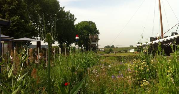 Nieuw elan bezoekerscentrum de Grote Rivieren in Heerewaarden - Brabants Dagblad