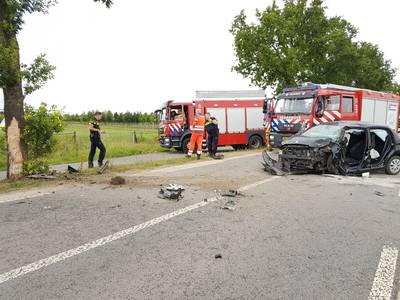 Vrouw zwaargewond door botsing tegen boom op N837 bij Heteren