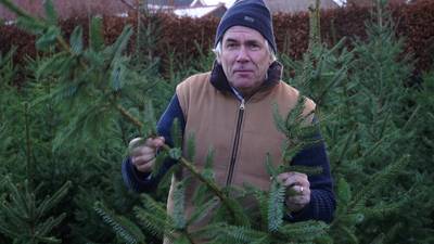 Kerstbomenactie voor doodzieke Henk: 900 sparren te koop