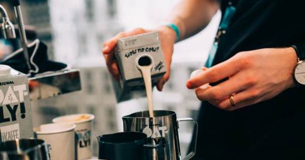 Zweeds haverdrinkmerk Oatly opent fabriek in Vlissingen | Economie - Eindhovens Dagblad