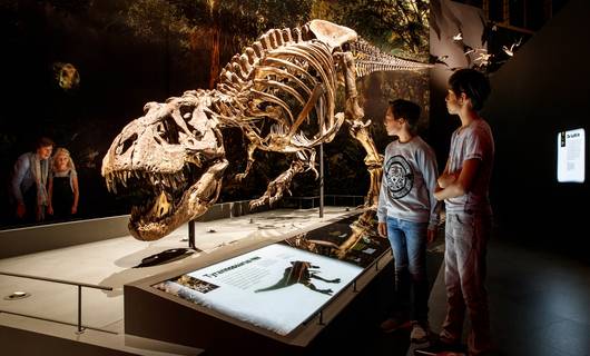 Op déze plek sta je oog in oog met een T. rex