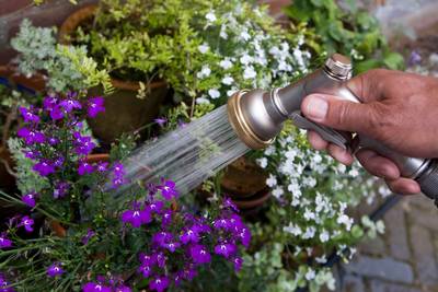 Droogte-alarm waterbedrijven: geen badjes, niet sproeien, kort douchen