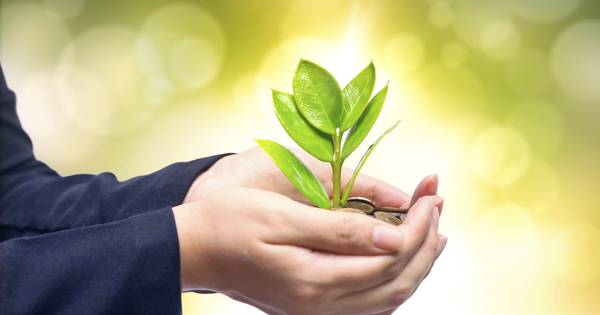 Veel animo biodiverse subsidies