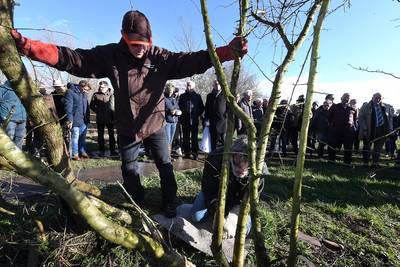 Maasheggengebied maakt zich klaar voor  volgende duizend jaar