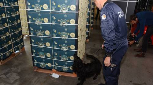 Filip Dewinter: “Douaniers bewaken 12 ton cocaine omdat verbrandingsoven stilligt”
