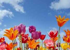 Goed nieuws: het wordt warmer