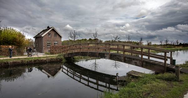 Weer nieuwe wijkwerker in Helenaveen | De Peel - Eindhovens Dagblad
