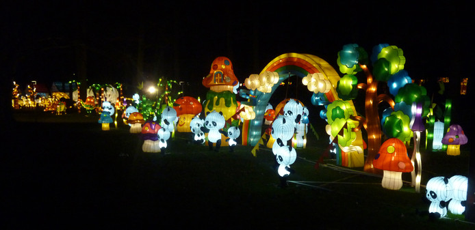 Ouwehand Organiseert China Light Festival Rhenen Gelderlander Nl