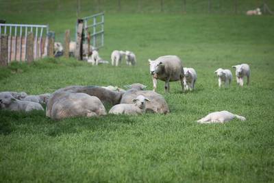 Verkoop grond moet 9 miljoen opleveren voor nieuwe natuur
